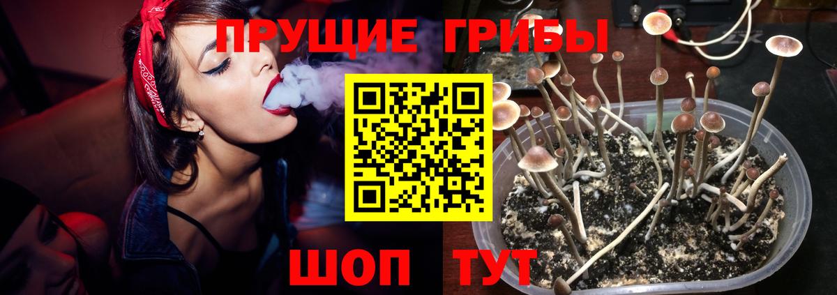 Галлюциногенные грибы ЛСД  Вход с VPN  Морозовск 